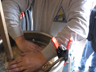 More grains can fit!